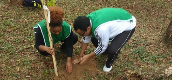 APM promove plantio de árvores em seu clube de campo