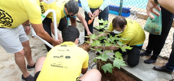 Atlética da Escola Paulista de Medicina recebe muda do plátano original de Hipócrates