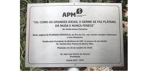 Sede Estadual da APM recebe muda do Plátano original de Hipócrates