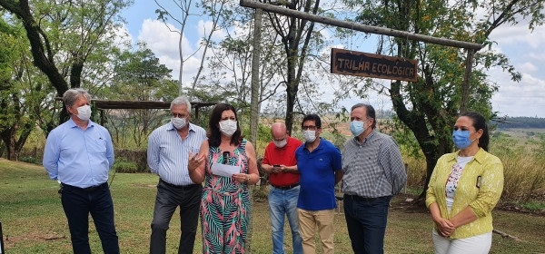 Regional de Campinas recebe muda do plátano de Hipócrates