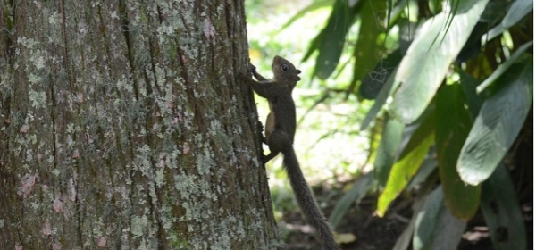 Verão: visite o Clube de Campo da APM nas férias