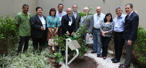 Sede Estadual da APM recebe muda do Plátano original de Hipócrates