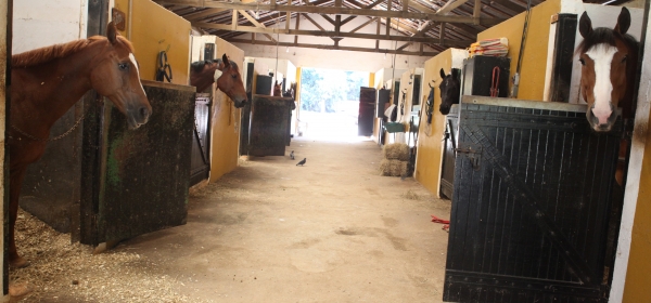 Clube de Campo: novidades para a sua estadia ser cada vez melhor