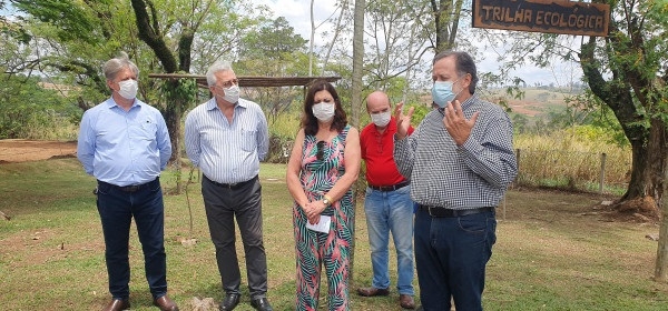 Regional de Campinas recebe muda do plátano de Hipócrates