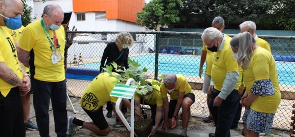 Atlética da Escola Paulista de Medicina recebe muda do plátano original de Hipócrates