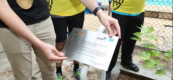 Atlética da Escola Paulista de Medicina recebe muda do plátano original de Hipócrates