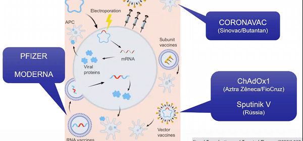 Estudo de efetividade da vacina Oxford/AstraZeneca é tema de webinar do CQH