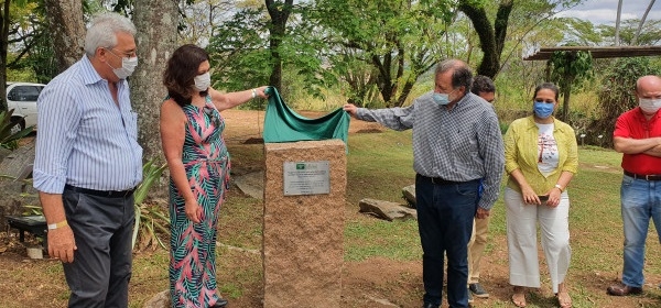 Regional de Campinas recebe muda do plátano de Hipócrates
