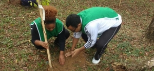 APM promove plantio de árvores em seu clube de campo