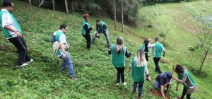 APM promove plantio de árvores em seu clube de campo