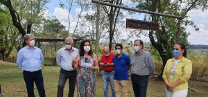 Regional de Campinas recebe muda do plátano de Hipócrates