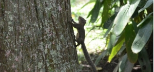 Verão: visite o Clube de Campo da APM nas férias