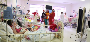 Alegrando a Santa Casinha: distribuição de brinquedos para os pacientes 