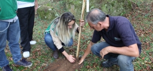 APM promove plantio de árvores em seu clube de campo