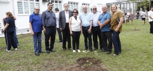 Presidente da APM leva muda do plátano de Hipócrates para a Emescam