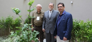 Sede Estadual da APM recebe muda do Plátano original de Hipócrates